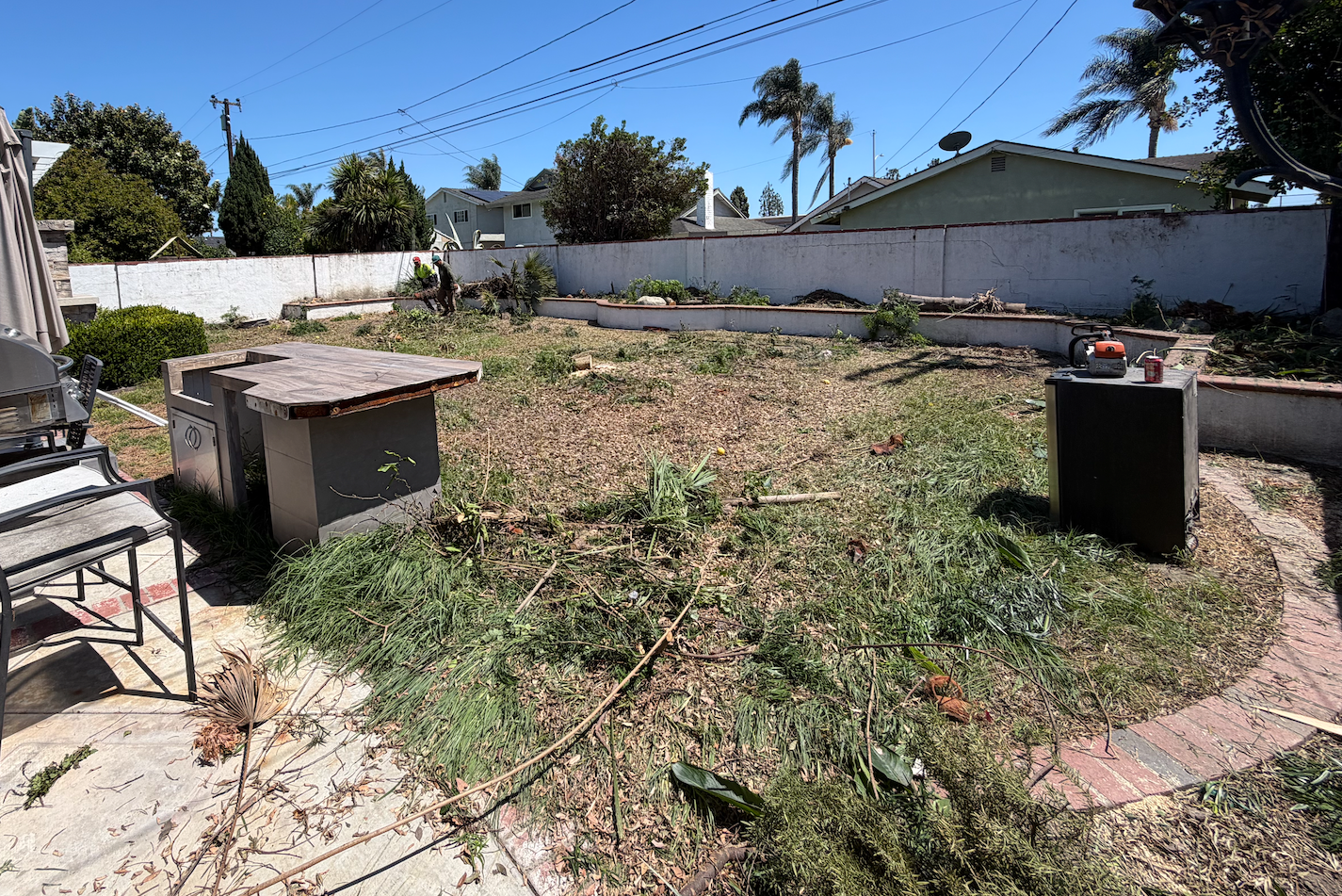 Backyard Cleanup In Progress