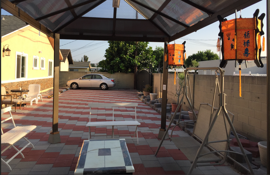 New Backyard View