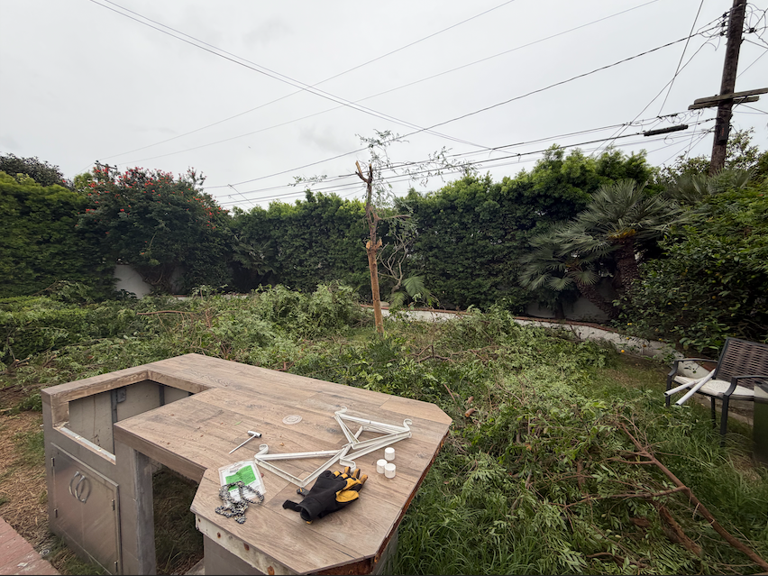 Original Backyard View
