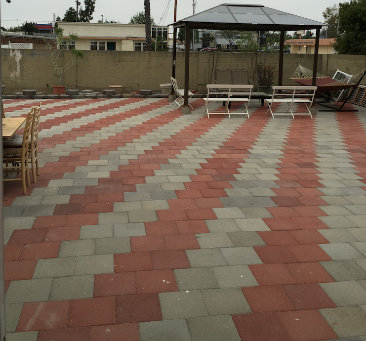 New Backyard View